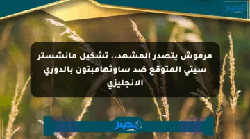 مرموش يتصدر المشهد.. تشكيل مانشستر سيتي المتوقع ضد ساوثهامبتون بالدوري الإنجليزي
